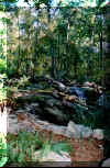 waterfall2.jpg (139678 bytes)